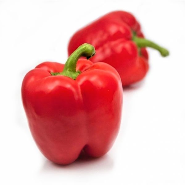 Перец ЭКЛА F1 | EKLA F1 Syngenta, Фасовка - 500 семян