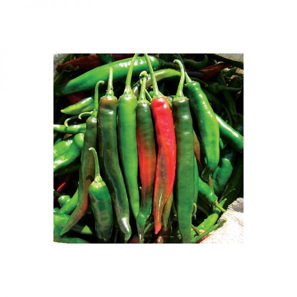 Перец Импала F1 | Impala F1 Clause, Фасовка - 5 гр