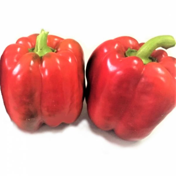 Перец КРУЗАДЕР F1 | KRUZADER F1 Syngenta, Фасовка - 500 семян