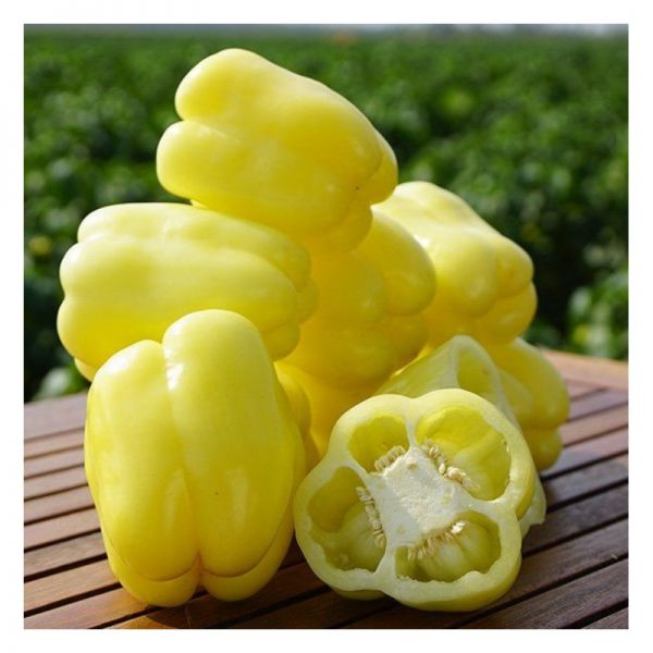 Перец Никита F1 | Nicita F1 Clause, Фасовка - 1 шт