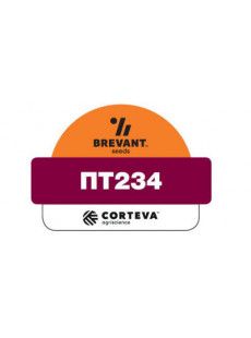 Насіння озимого ріпаку ПТ234 (PT234)