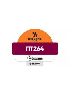 Семена озимого рапса ПТ264 (PT264)