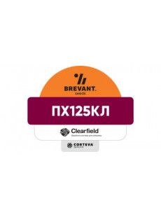 Семена озимого рапса ПХ125КЛ (PX125CL)