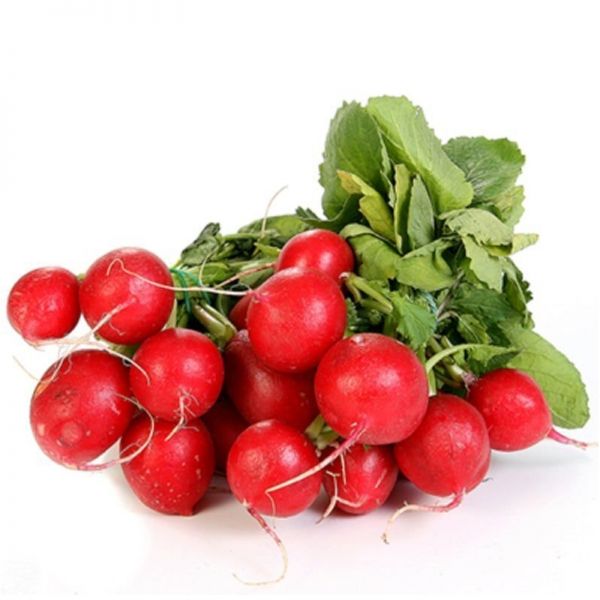 Редис Джолли F1 | Djolli F1 Clause, Фасовка - 0,5 кг