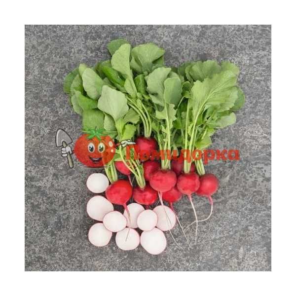 Редис РОКСАН F1 | ROXANNE F1 Bejo (2.25-2.5), Фасовка - 50 000 семян