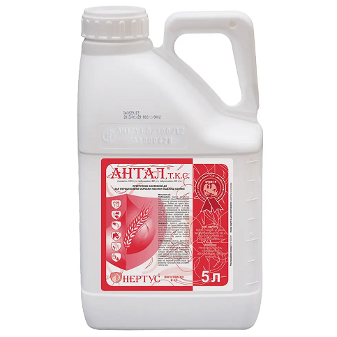 Протруйник Антал, Нертус Протруйник Антал, Нертус