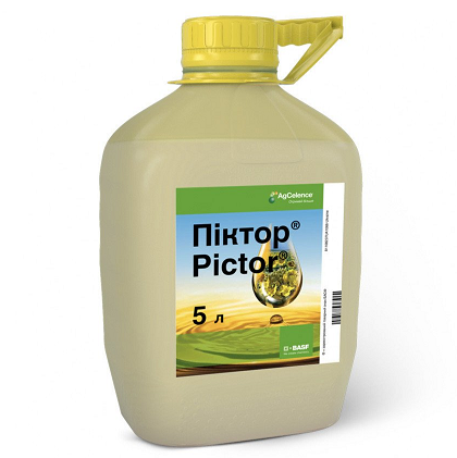 Фунгицид Пиктор, КС, 5 л (BASF) 