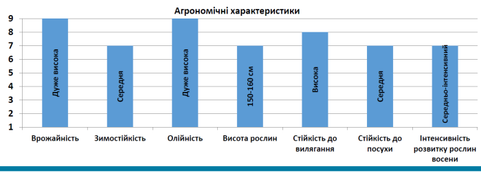 Насіння озимого ріпаку СИ Савео (SY SAVEO)