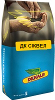  Семена озимого рапса DK SEQUEL (ДК СИКВЕЛ)