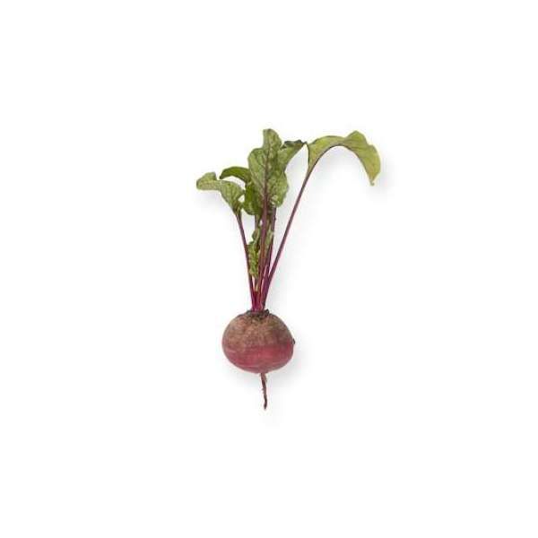 Свекла АКЕЛА | AKELA Rijk Zwaan (калибр 2.75-3.50), Фасовка - 25 000 семян