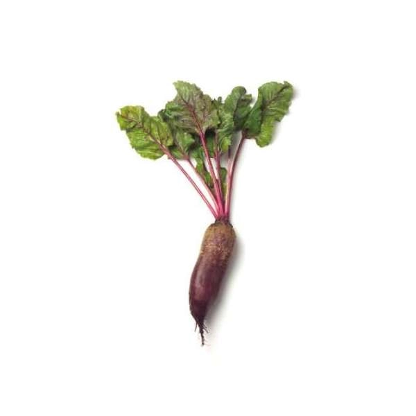 Свекла КАРИЛОН | CARILLON Rijk Zwaan, Фасовка - 25 000 семян