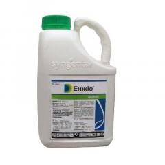 Инсектицид Энжио 247 SC, к. с., 5 л (Syngenta) Инсектицид Энжио 247 SC, к. с., 5 л (Syngenta)
