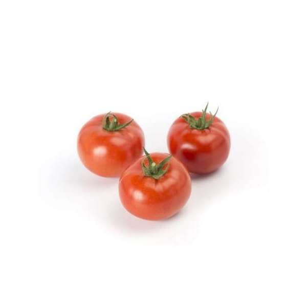 Томат АТТИЯ F1 | ATTIYA F1 Rijk Zwaan, Фасовка - 100 семян