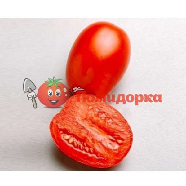 Томат ГВАДЕЛЕТЕ F1|GUADELETE F1 Seminis, Фасовка - 1000 семян