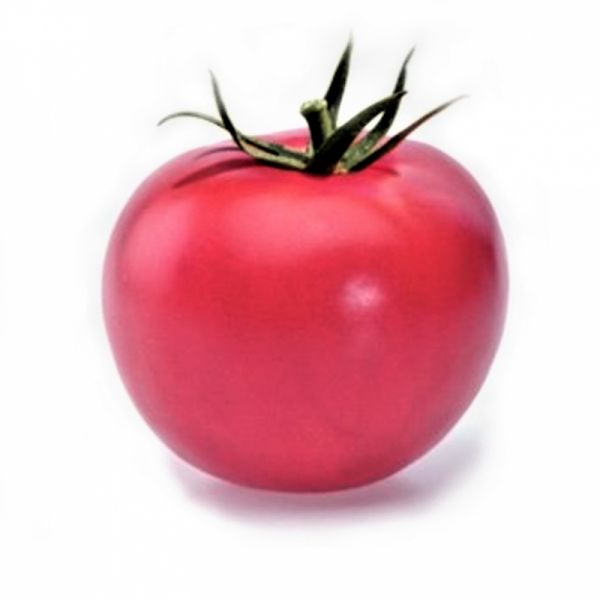 Томат ХЕПИНЕТ F1 | HЕPINET F1 Syngenta, Фасовка - 1000 семян