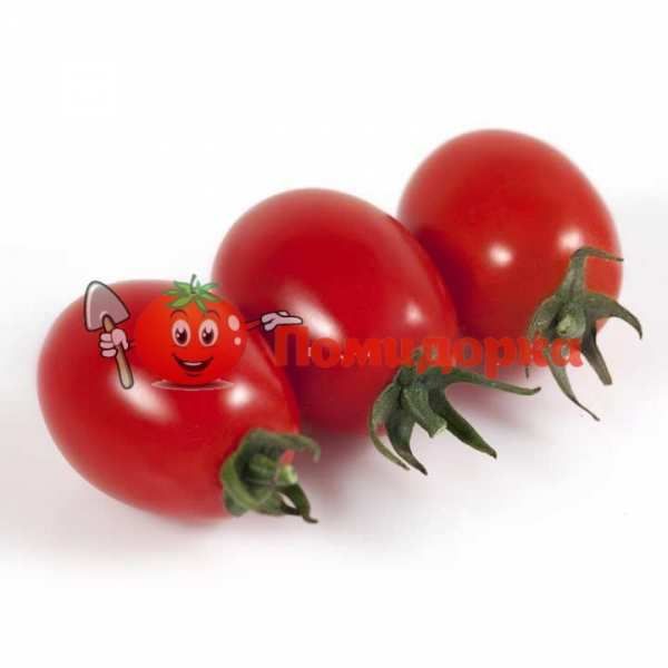 Томат KS 3640 F1 | KS 3640 F1 Kitano, Фасовка - 1000 семян