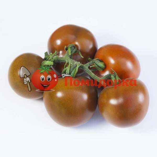 ТОМАТ KS 3900 F1 | KS 3900 F1 Kitano, Фасовка - 500 семян