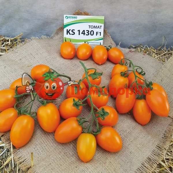 Томат KS1430 F1 | KS1430 F1 Kitano, Фасовка - 1000 семян