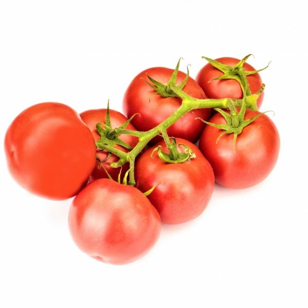 Томат ЛАДЖЕНДА F1 | LADZHENDA F1 Syngenta, Фасовка - 500 семян