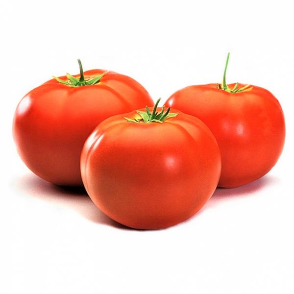 Томат СИЛУЭТ F1 | SILUET F1 Syngenta, Фасовка - 500 семян