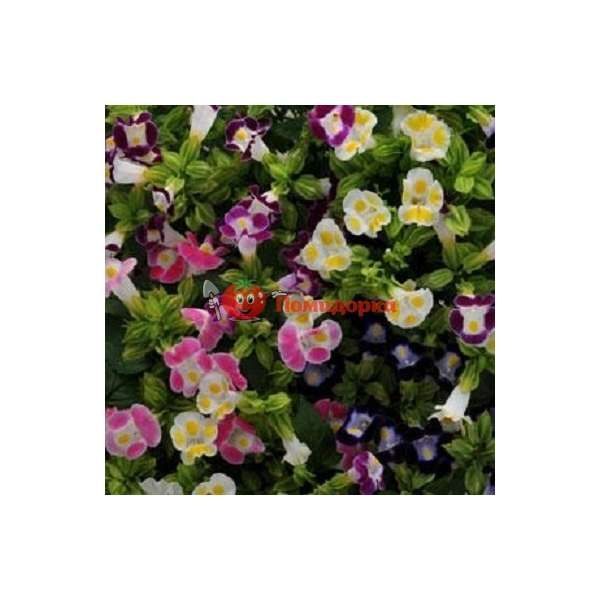 Торения Литл Кисс смесь драже Проф.сем . 100 шт