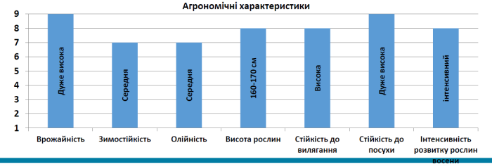 Насіння озимого ріпаку Торес (TORES)