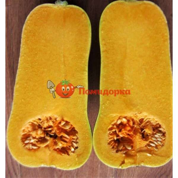 Тыква СИБЕЛЬ F1 | SIBEL F1 Clause, Фасовка - 1000 семян